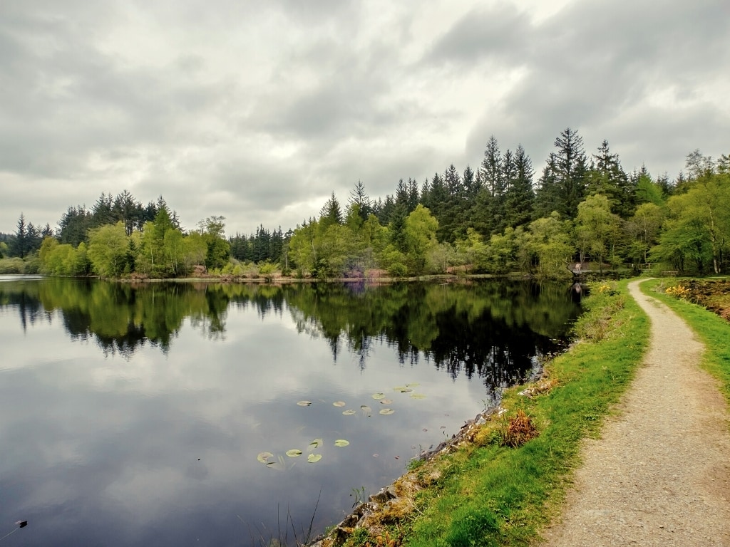 Galloway forest park, Scotland