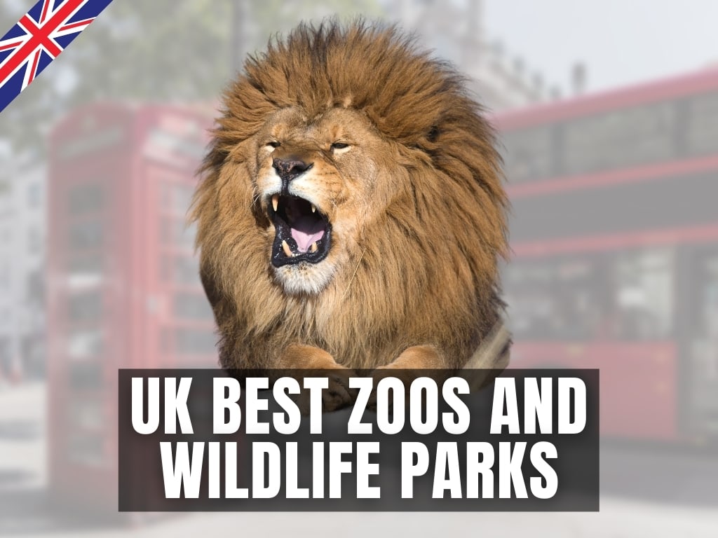 TOP 15 Best Zoos and Wildlife Parks in the UK