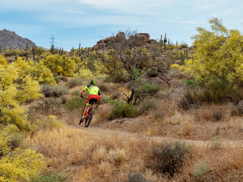 Fast Mountain Biker on Desert Trail in Arizona
